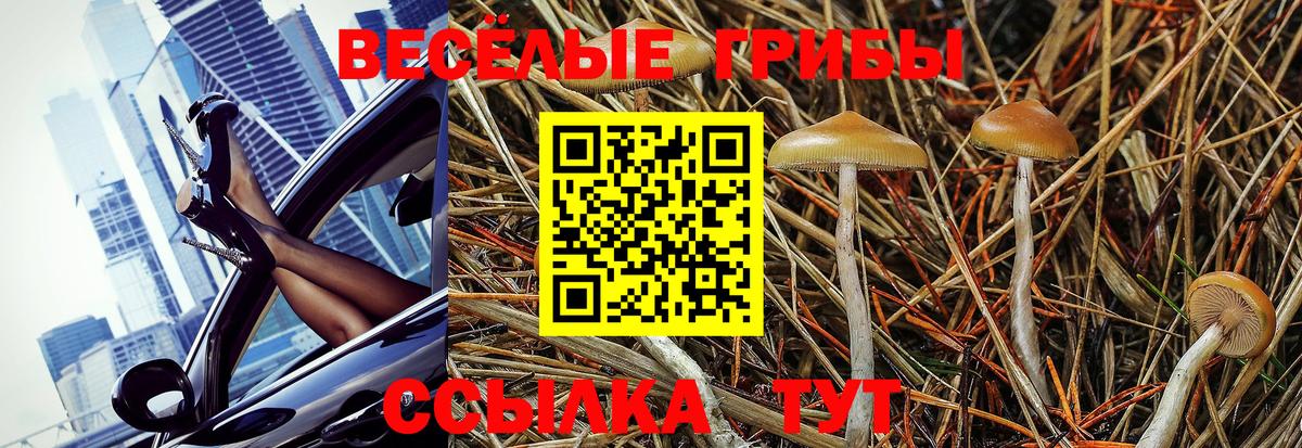Миллерово  Псилоцибиновые грибы Magic Shrooms  Вход с VPN  Галлюциногенные грибы мухоморы 